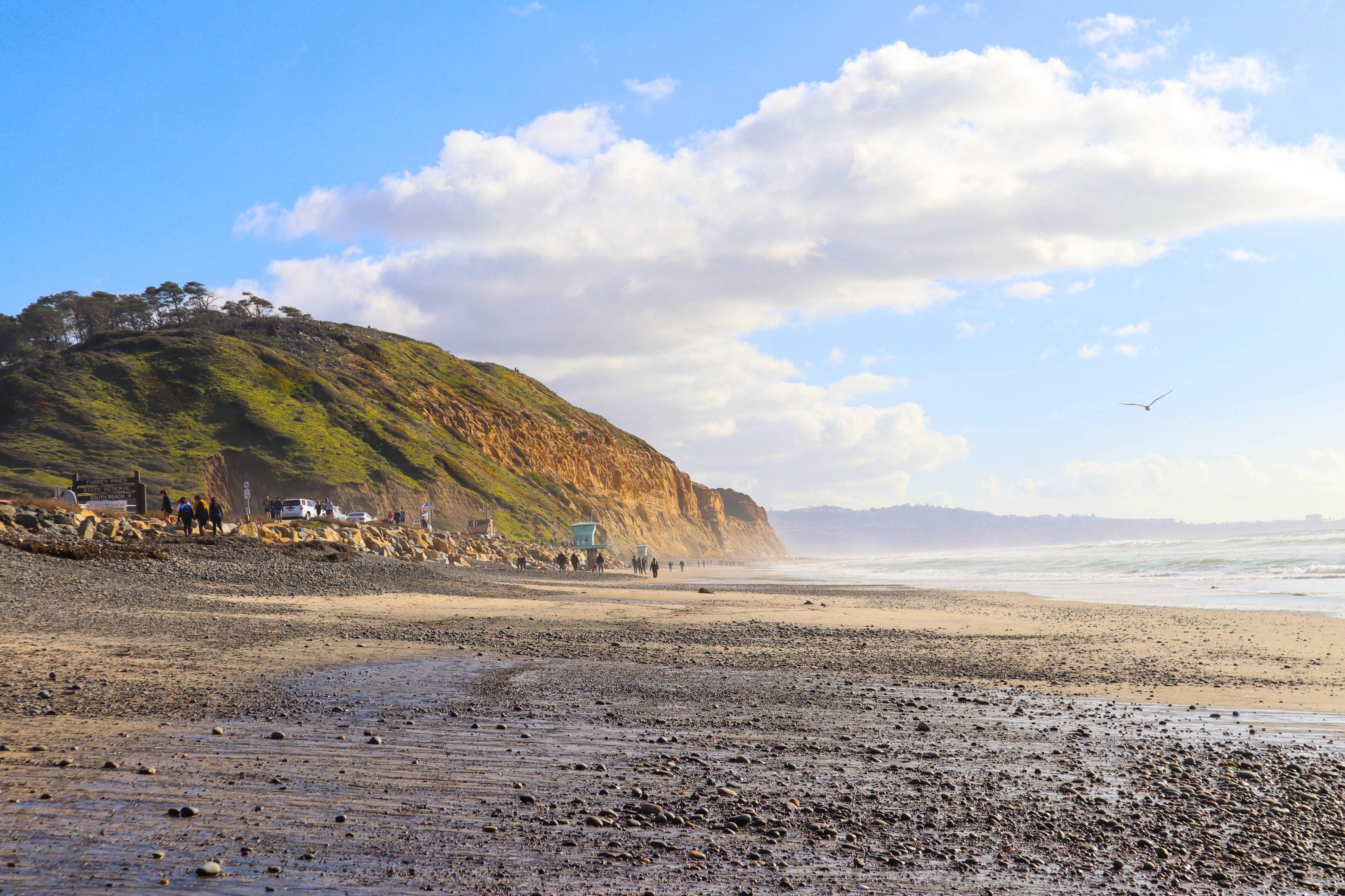 California Shore