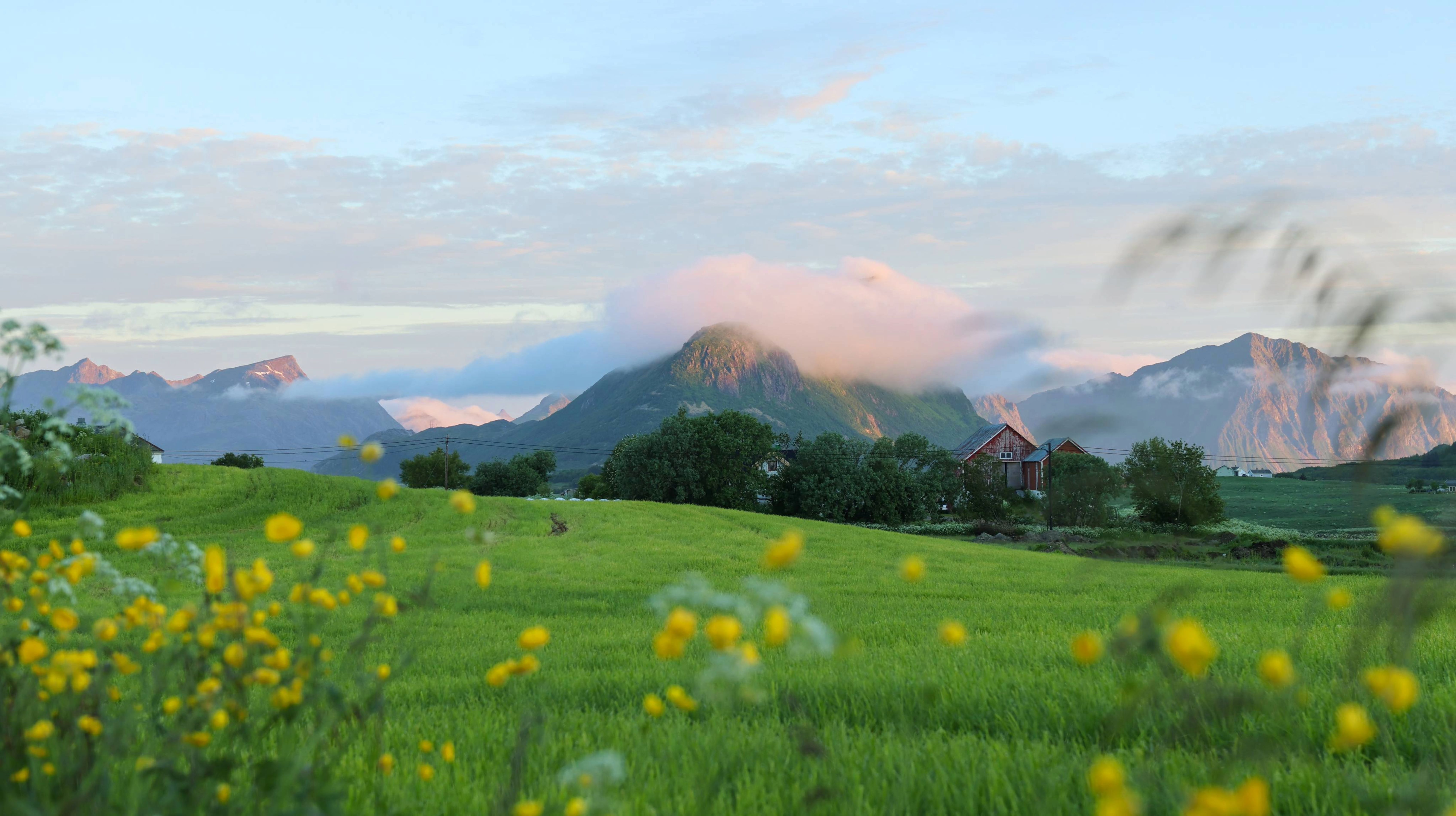 Norwegian Countryside