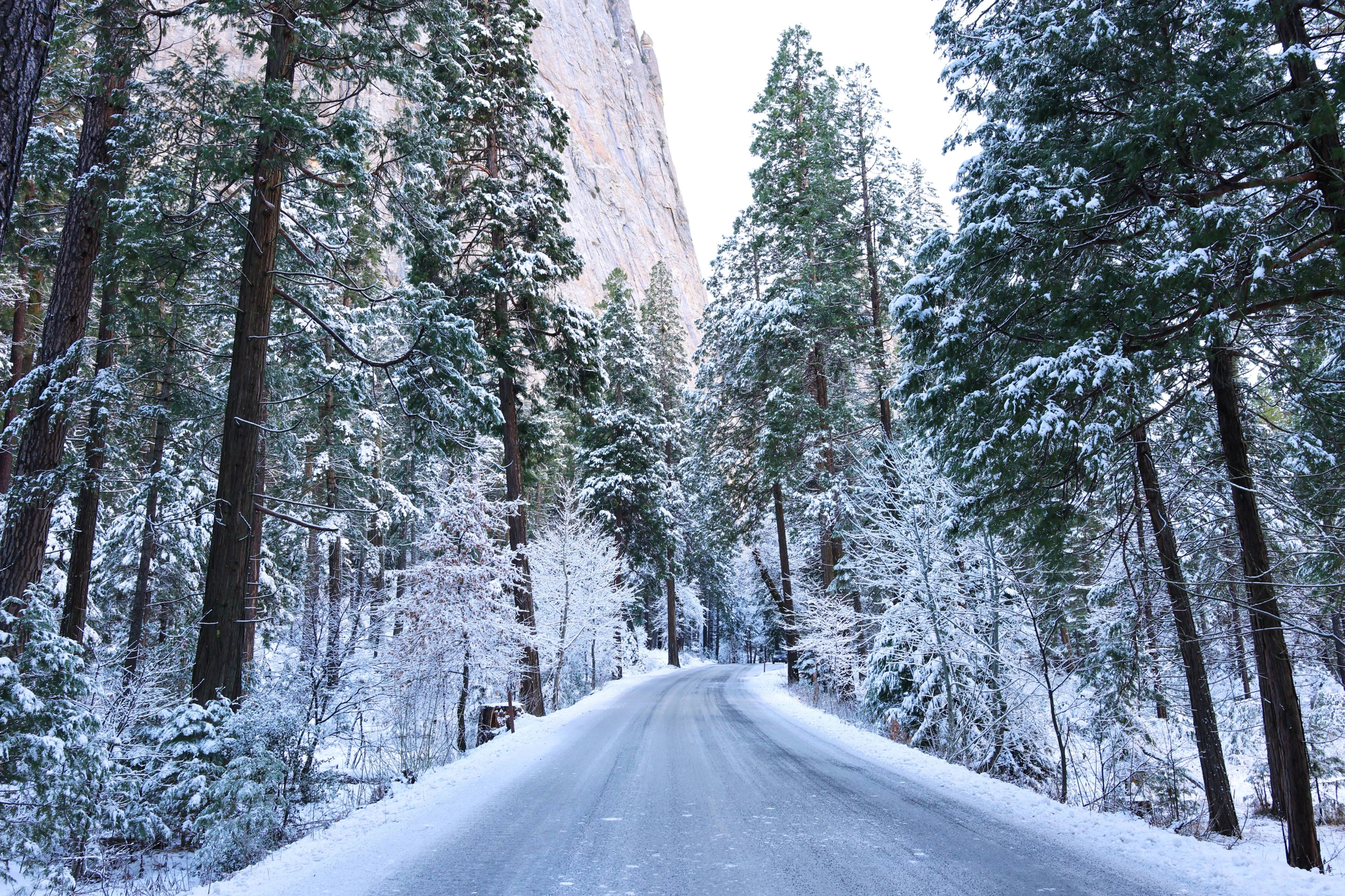 Winter in Yosemite
