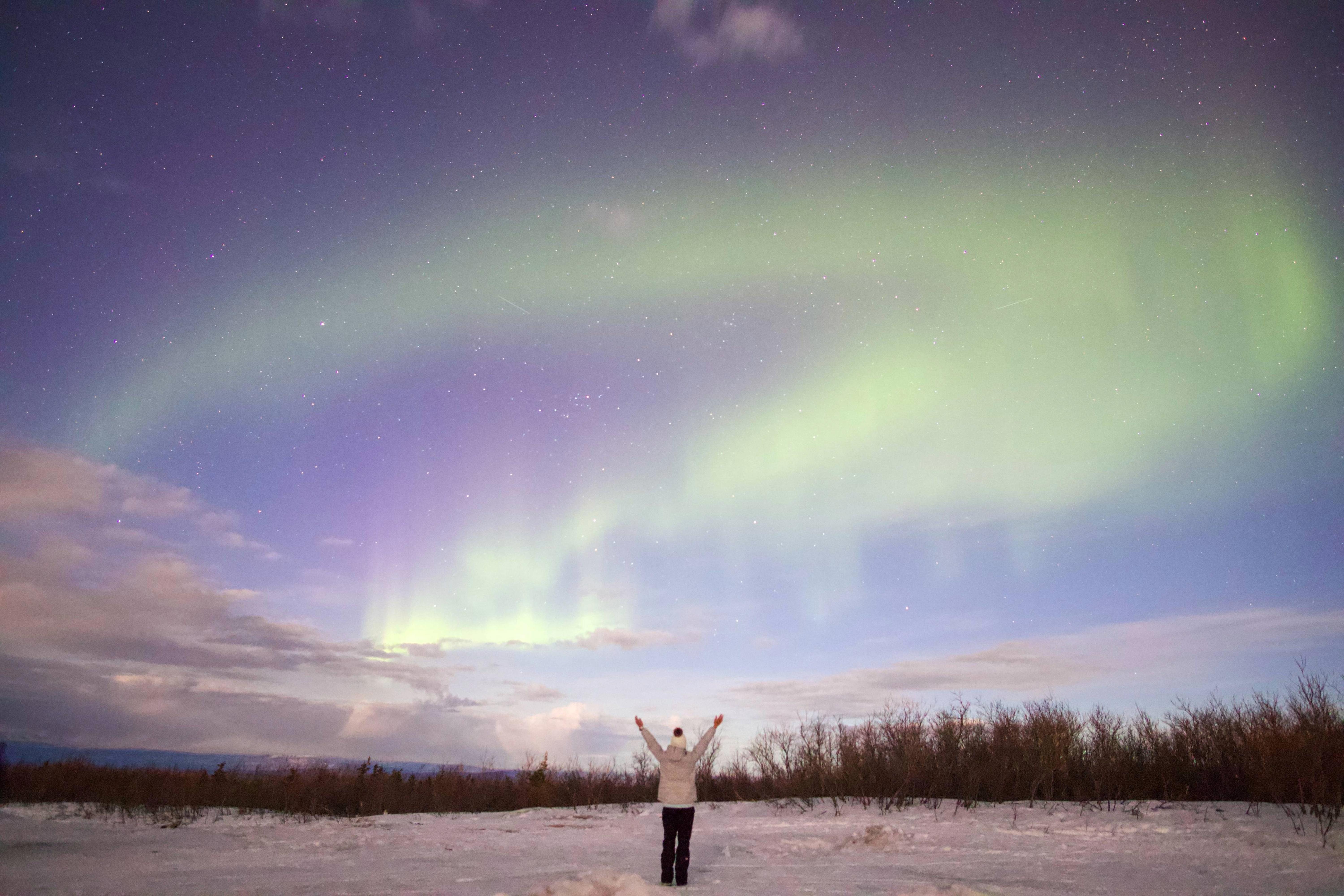 Arctic Night