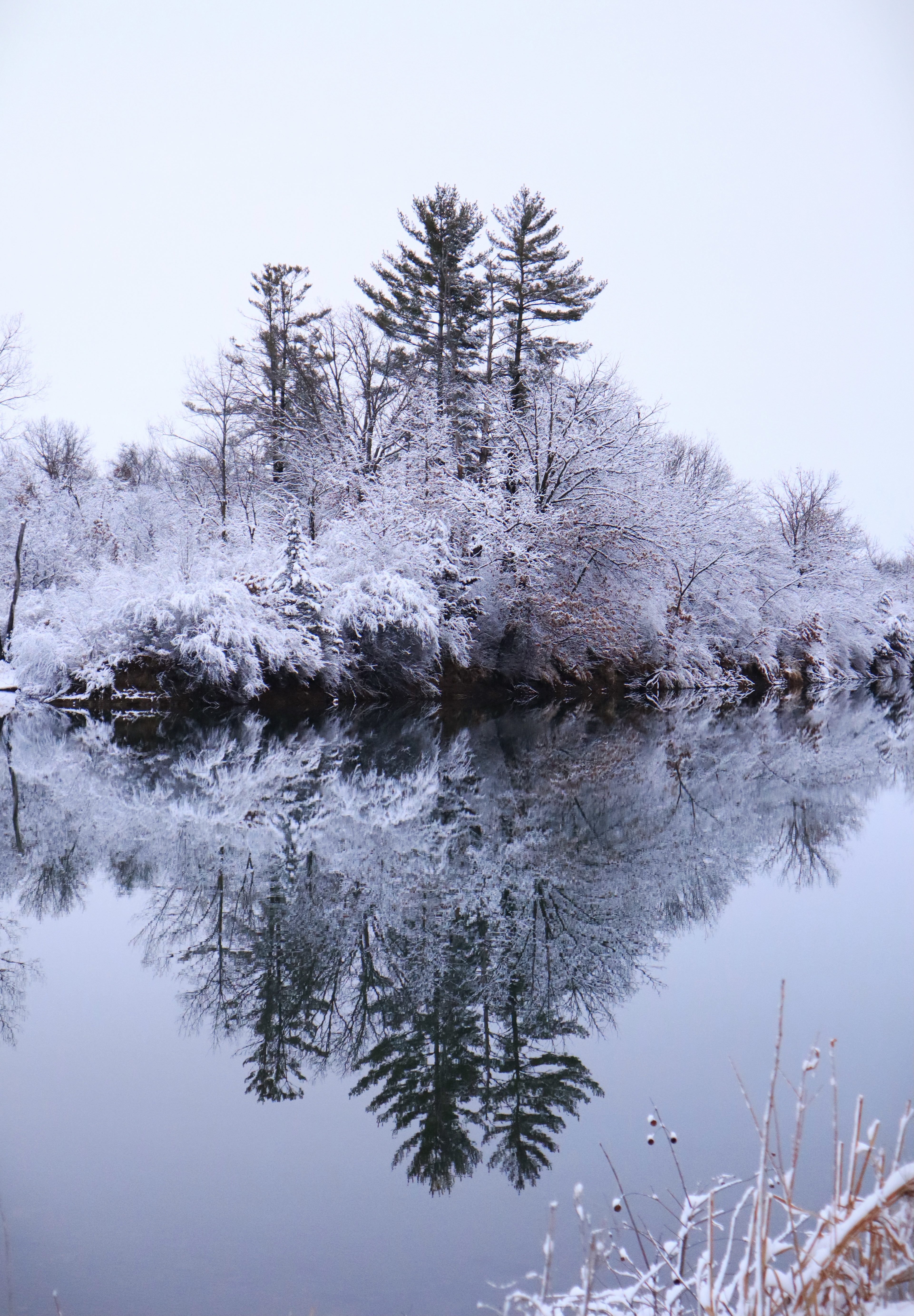 Winter Reflection